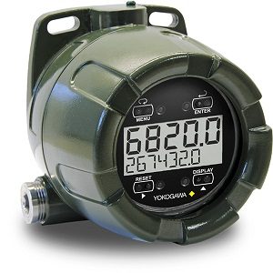 YPP6820 Analog Input Rate/Totalizer