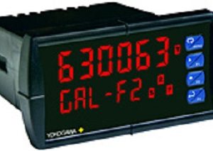 YPP6310 Pulse Input Batch Controller