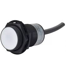 Autonics Proximity Sensor PRA30-10AO