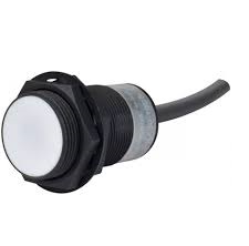 Autonics Proximity Sensor PRA30-10DP