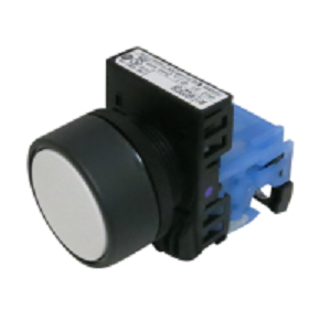 Fuji Push Button AR22F0R-10W