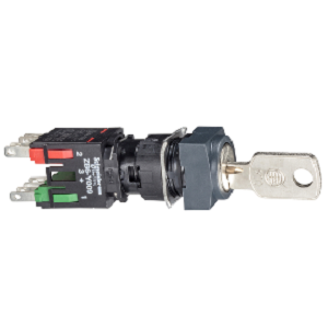 Schneider Selector Switch XB6CGC5B