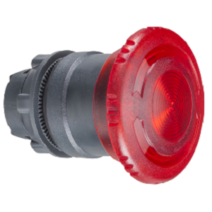 Schneider Push Button ZB5AW743