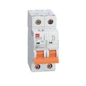 LS Miniature Circuit Breaker BKN 1P+N 2A