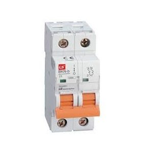 LS Miniature Circuit Breaker BKN 2P 25A