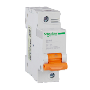 Schneider Circuit Breaker EA9AH1D125NEW