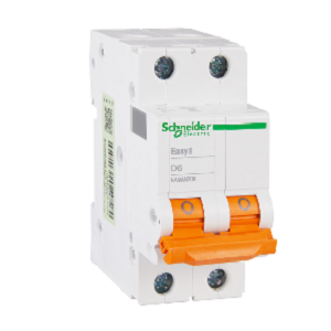 Schneider Circuit Breaker EA9AN2D6A