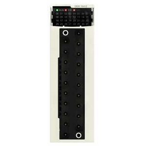 Schneider Electric BMXDDI1603