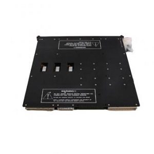 Triconex 7400209-010